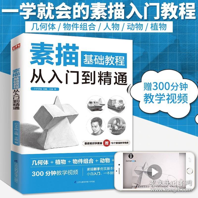 素描基础教程从入门到精通 王金 从零起步学素描入门自学零基础临摹教材书籍初学者手绘结构静物人物头像石膏几何体美术速写素描书