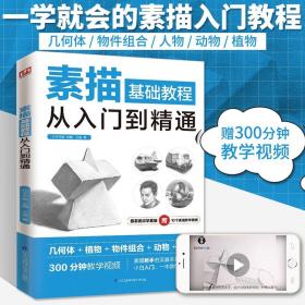 素描基础教程从入门到精通 王金 从零起步学素描入门自学零基础临摹教材书籍初学者手绘结构静物人物头像石膏几何体美术速写素描书