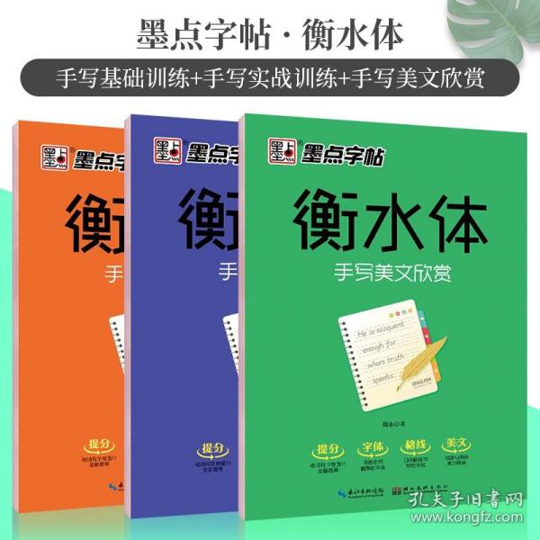 墨点字帖 衡水体 手写基础训练硬笔临摹字帖