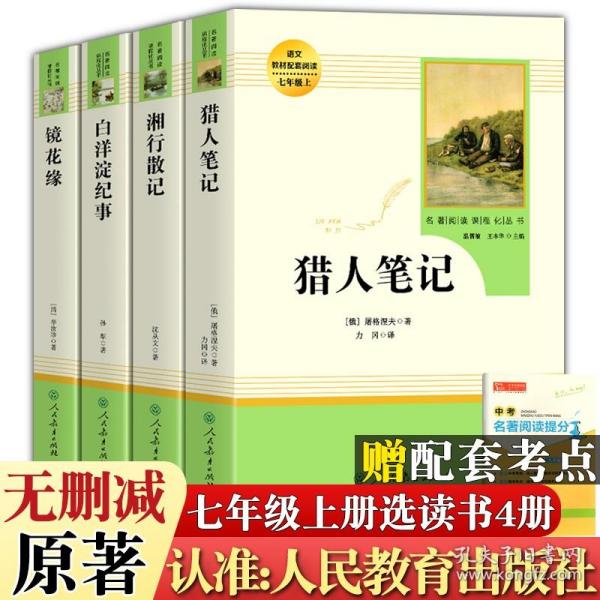 白洋淀纪事 名著阅读课程化丛书（统编语文教材配套阅读）七年级上