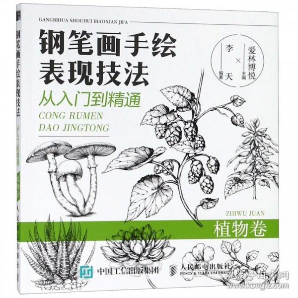 钢笔画手绘表现技法从入门到精通植物卷