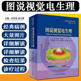 【原版闪电发货】图说视觉电生理 图说眼科检查系列丛书 文峰 李世迎 阴正勤 眼视光临床案例教程 眼科学参考书 人民卫生出版社9787117292467