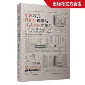 地理媒介：网络化城市与公共空间的未来（城市传播译丛）