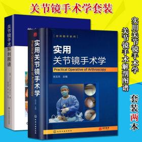 【原版】全套2本 实用关节镜手术学 关节镜手术解剖图谱 关节镜设备与器械 膝关节髋关节足踝关节肩关节 肘腕关节镜手术操作