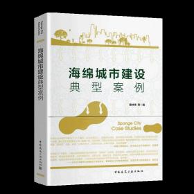 【正品闪电发货】海绵城市建设典型案例 章林伟 城市黑臭水体治理 内涝防 9787112201990 中国建筑工业出版社