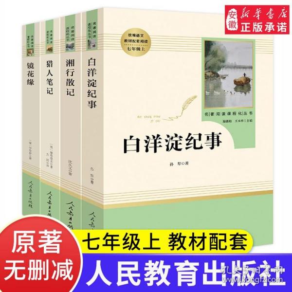 白洋淀纪事 名著阅读课程化丛书（统编语文教材配套阅读）七年级上