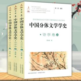 中国诗学史