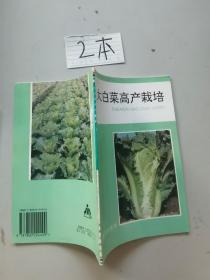 大白菜高产栽培