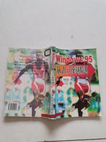 Windows 95 從入門到精通