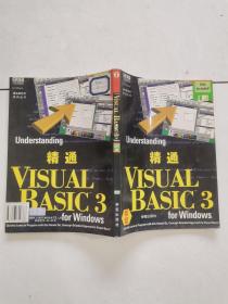 精通Visual Basic 3.0 for Windows