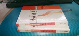中国作家经典文库 张宇卷（上下）2册合售