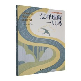 正版怎样理解一只鸟童文菲江苏译林出版社