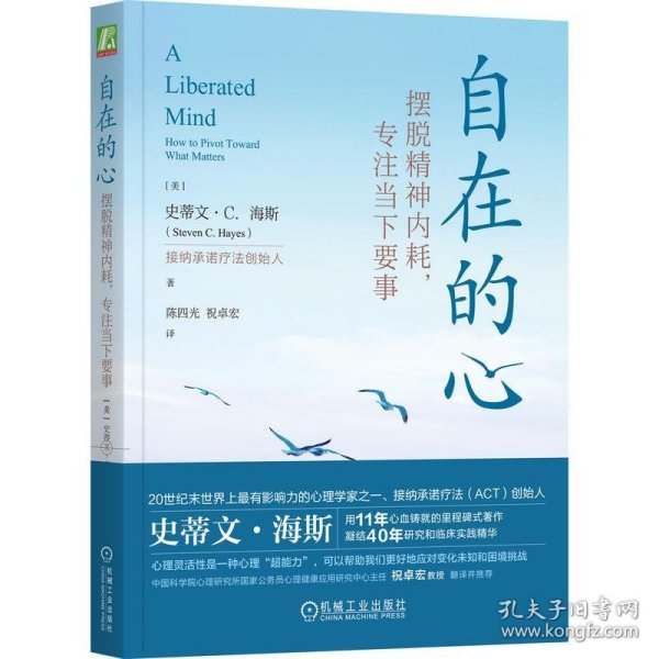 自在的心：摆脱精神内耗，专注当下要事   （美）史蒂文·C.海斯