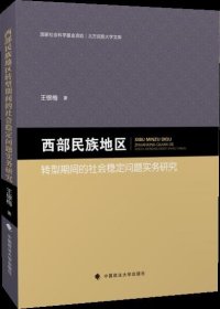 西部民族地区转型期间的社会稳定问题实务研究/北方民族大学文库