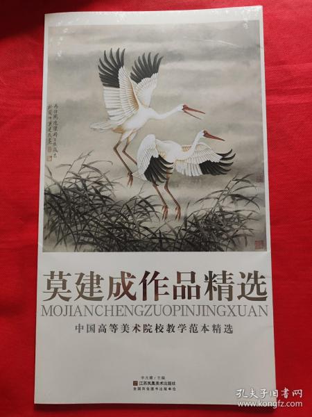 中国高等美术院校教学范本精选：莫建成作品精选（未开封）