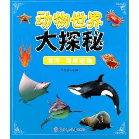 动物世界大探秘：海洋、海岸动物