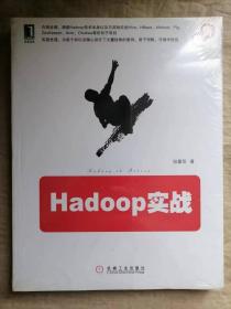 Hadoop实战-云计算技术系列丛书