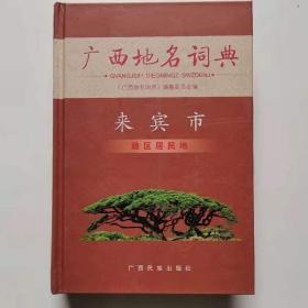 正版现货 广西地名词典 来宾市 政区居民地
