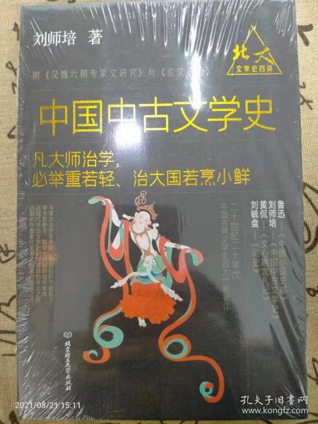 北大文学史四讲——中国中古文学史