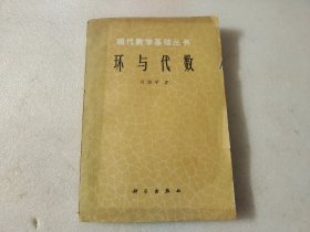 现代数学基础丛书：环与代数