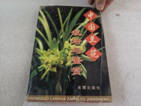 中国兰花栽培与鉴赏