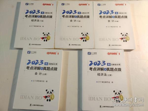 2023注册会计师考点详解及真题点拨·会计