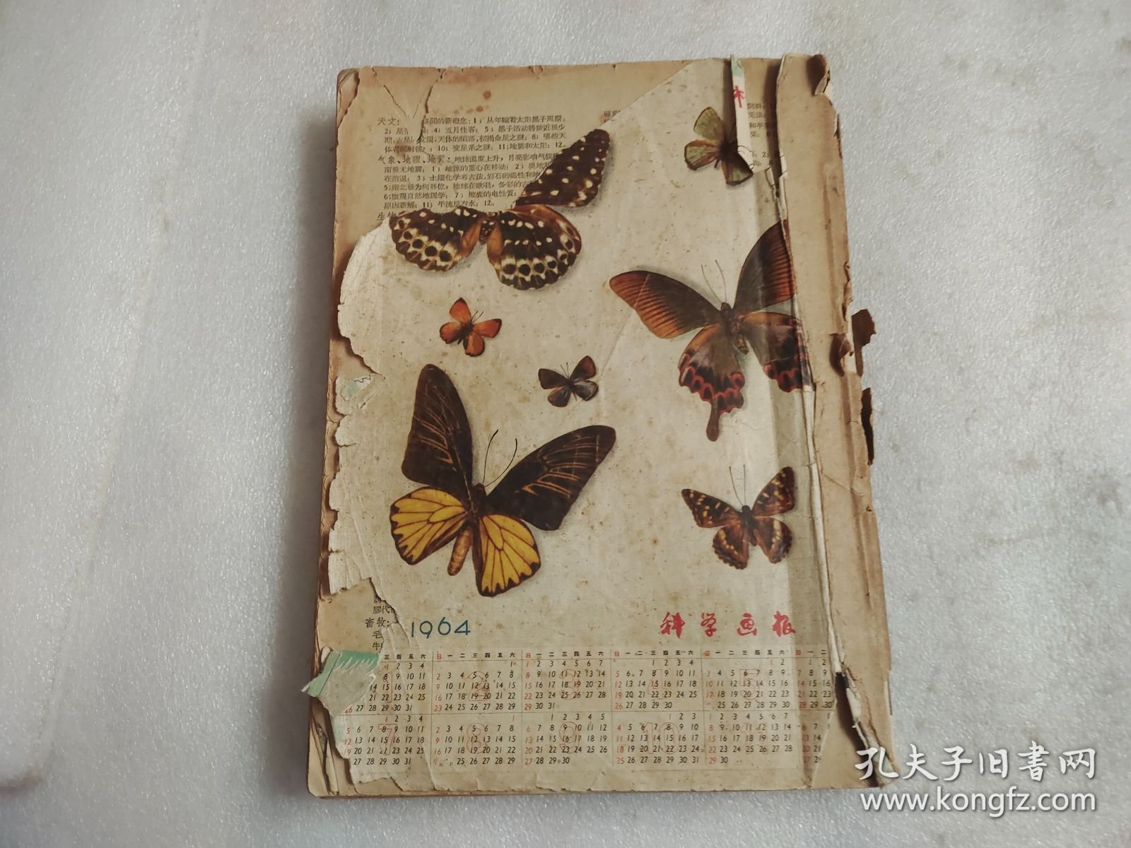 科学画报 1963年第7-9期