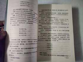 苏东坡:长篇历史小说