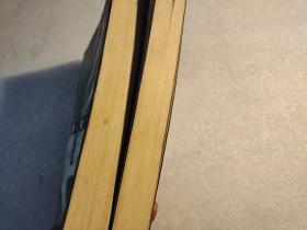 黑档案 上下册【本书照片】有现货请放心订购