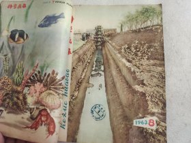 科学画报 1963年第7-9期