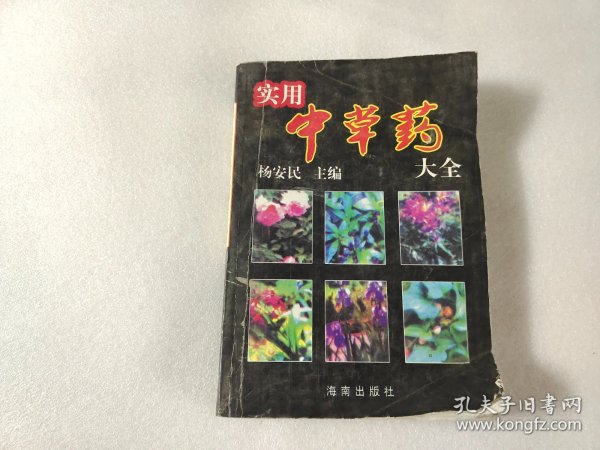 实用中草药大全