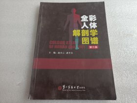 全彩人体解剖学图谱