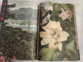 科学画报 1963年第7-9期