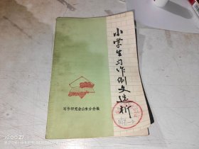 小学生习作例文选析