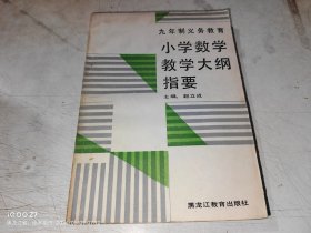 小学数学教学大纲指要