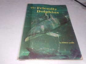 THE FRIENDLY DOLPHINS友好的海豚