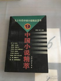 中国小说精萃:九十年代中国小说精品荟萃.9