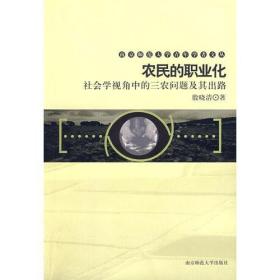 农民的职业化：社会学视角中的三农问题及其出路