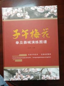 子午梅花拳及器械演练图谱