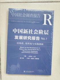 中国新社会阶层发展研究报告 No.1 结构化、组织化与实践创新