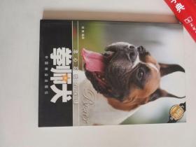 正版库存一手　忠心忘我的保镖：拳师犬 侯爽 中国林业出版社 9787503846106