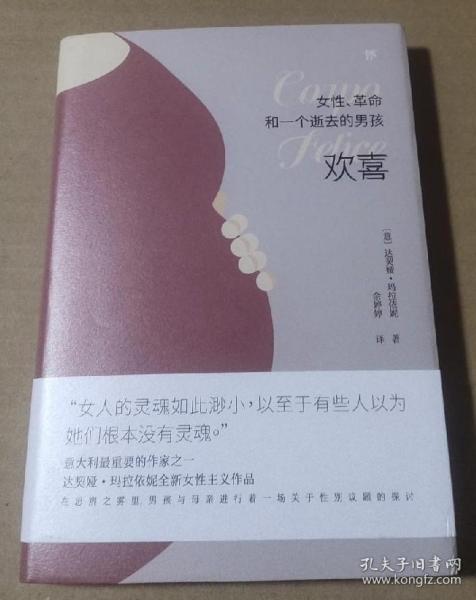 欢喜：女性、革命和一个逝去的男孩（诺贝尔文学奖热门提名作家女性主义作品）