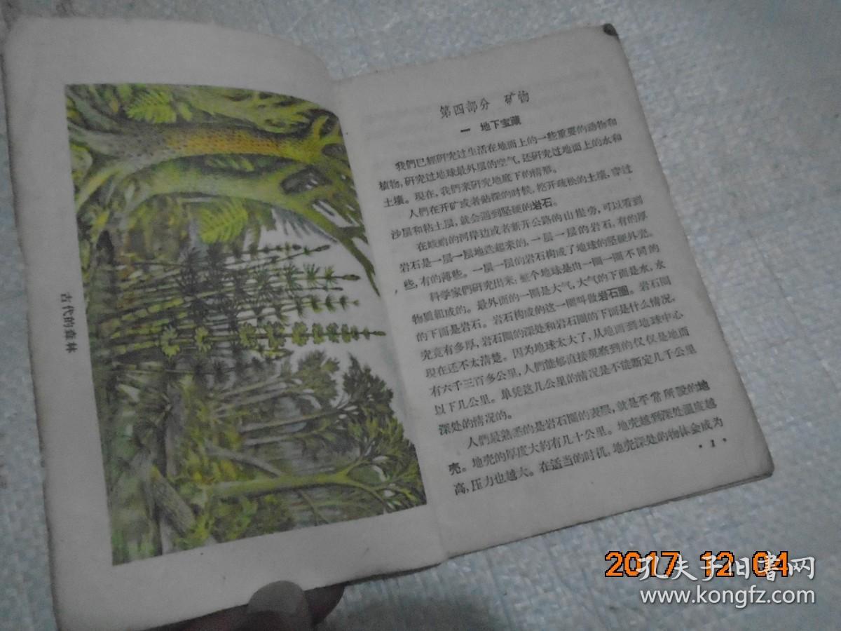 高级小学课本--自然，第三册