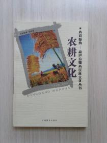 农耕文化【西双版纳——勐巴拉娜西民族文化丛书】