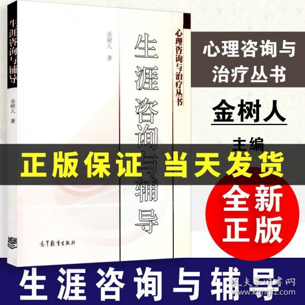 【原版闪电发货】现货 生涯咨询与辅导 金树人 生涯规划及辅导的理论与实践问题论述 心理理咨询师书 生涯指导规划师培训生涯辅导书 高等教育出版社