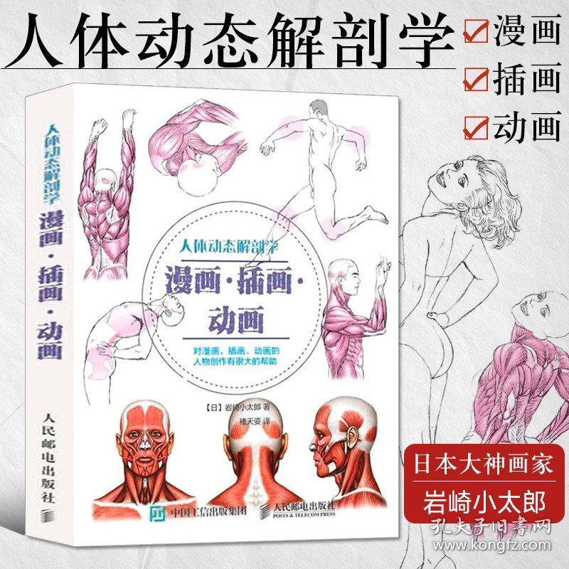 【原版闪电发货】人体动态解剖学 漫画 插画 动画 人体结构速写书绘制技法画集大全动漫造型艺用人体解剖教程绘画书籍手绘本临摹画册素描入门教材