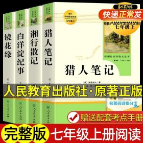 白洋淀纪事 名著阅读课程化丛书（统编语文教材配套阅读）七年级上