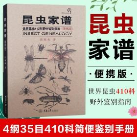 昆虫家谱：世界昆虫410科野外鉴别指南（便携版）