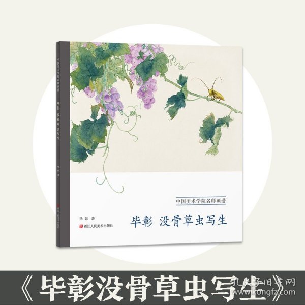 中国美术学院名师画谱：毕彰没骨草虫写生