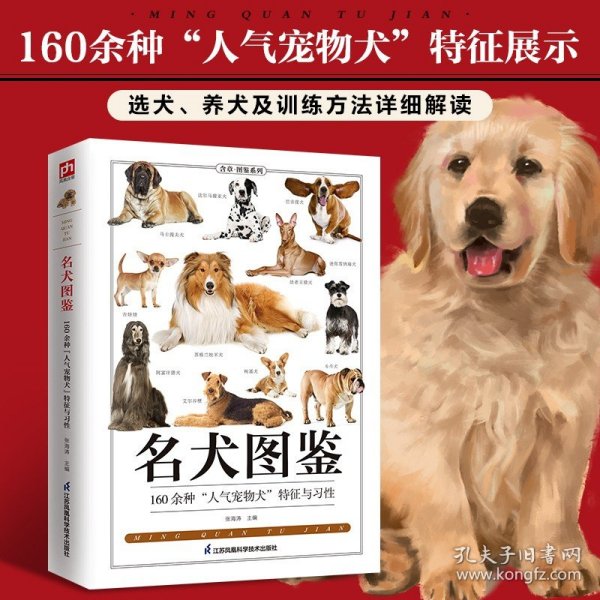 威尔士柯基犬